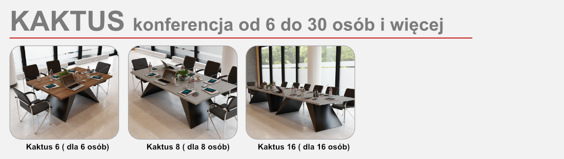 st_konferencyjny_goxdzik