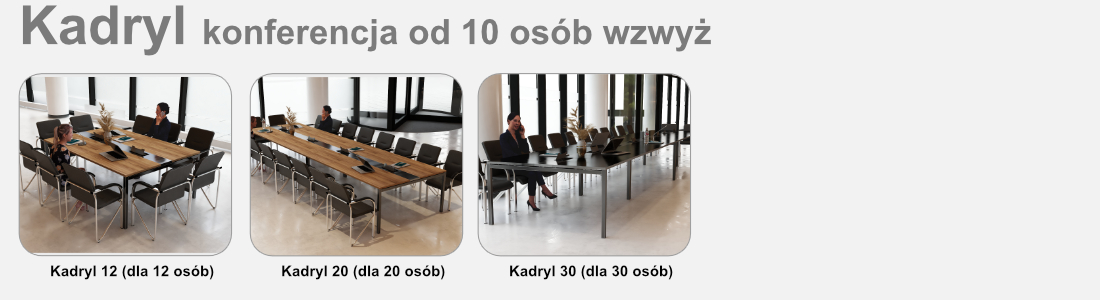 stó_konferencyjny_irys