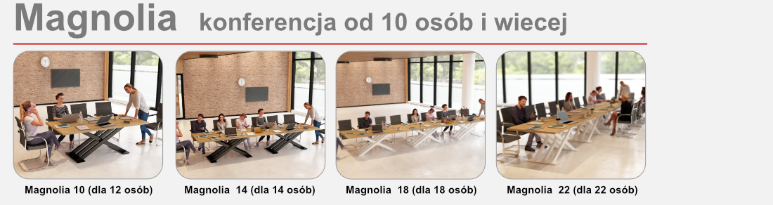 stó_konferencyjny_magnolia