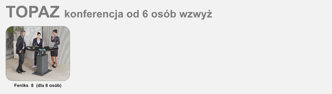 stó_konferencyjny_irys