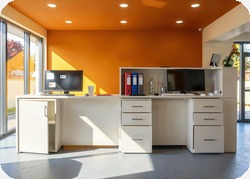 Recepcja z laminatu HPL