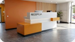 Nowoczesna recepcja