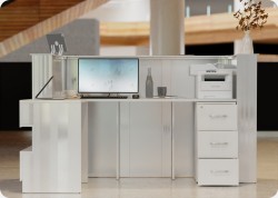 Lada recepcyjna R216