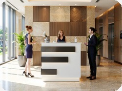 Recepcja z pod�wietleniem LED