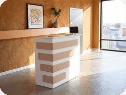 Recepcja z pod�wietleniem LED