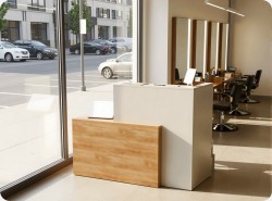 Lada recepcyjna R13 pod�wietlana Diodami LED