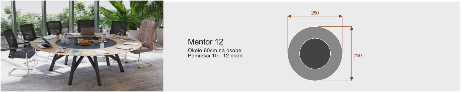 Opis mentor st&oacute;� konferencyjny