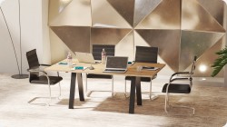 St&oacute;� konferencyjny Emilia