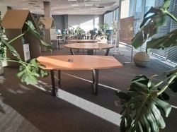 St&oacute;� konferencyjny wisteria