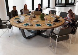 Stó konferencyjny wisteria
